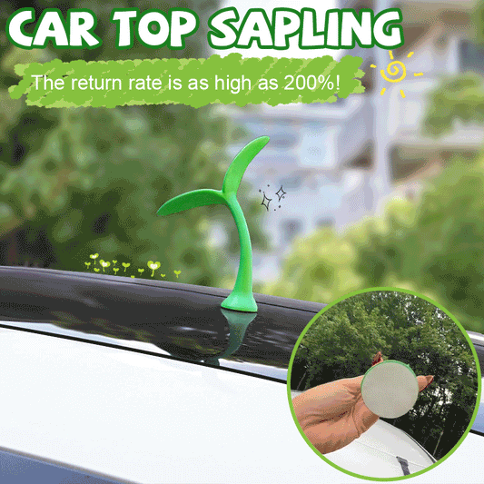 🌱 Car top sapling