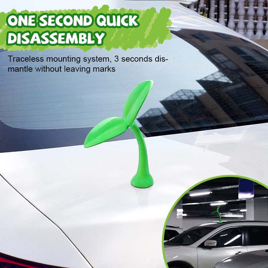 🌱 Car top sapling