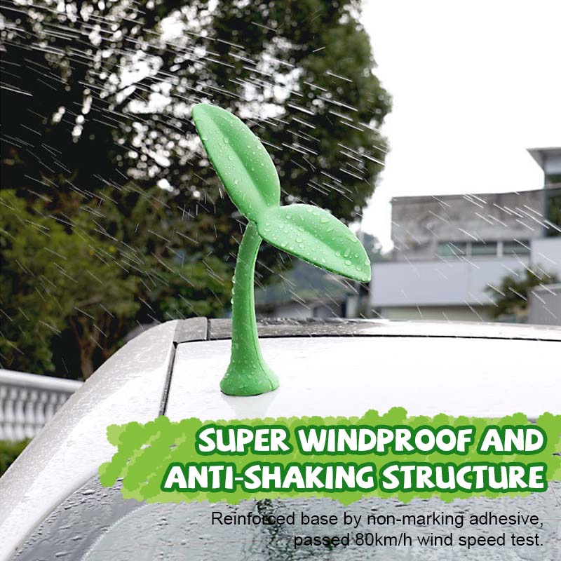 🌱 Car top sapling