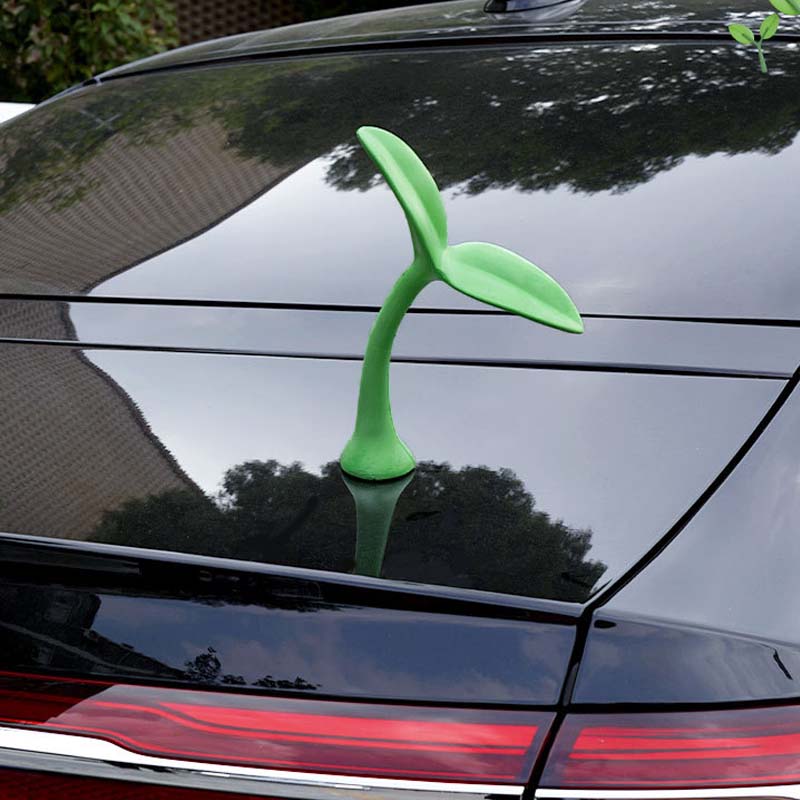 🌱 Car top sapling